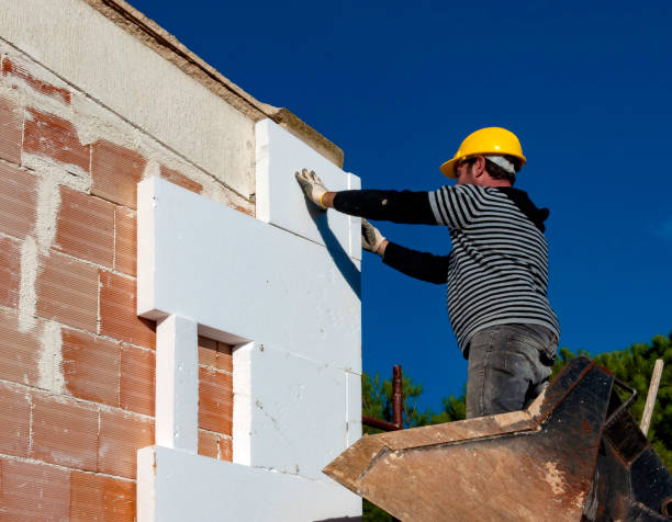 Professional Insulation Contractor in Fishhook, AK
