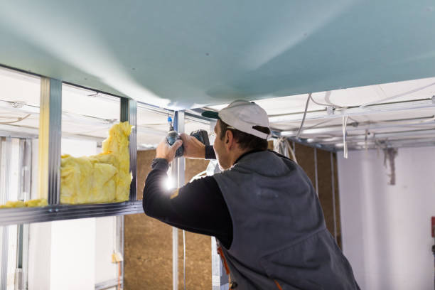 Types of Insulation We Offer in Fishhook, AK