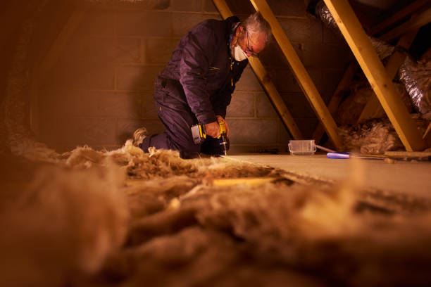 Best Specialized Insulation Services in Fishhook, AK